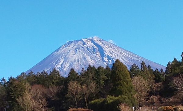 ファイル 122-5.jpg