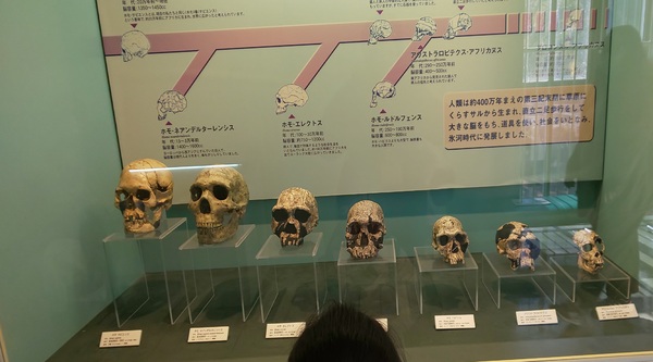 ファイル 123-2.jpg