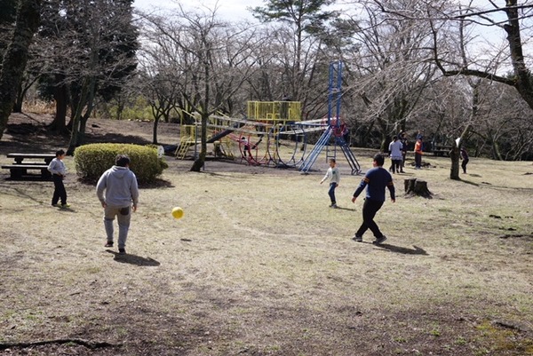 f-labo 3月23日