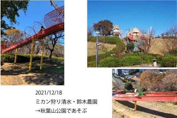 ファイル 192-2.jpg