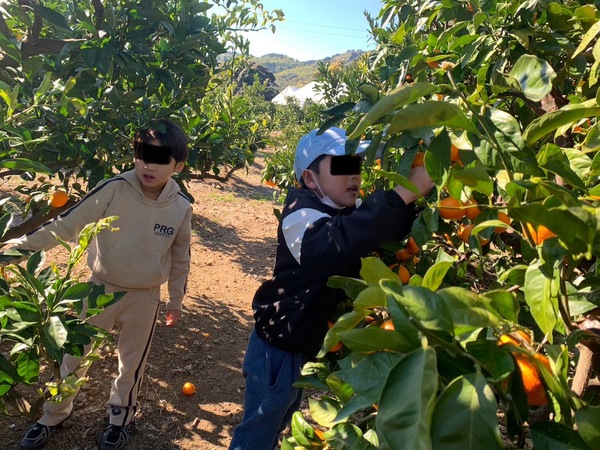 ファイル 333-1.jpeg