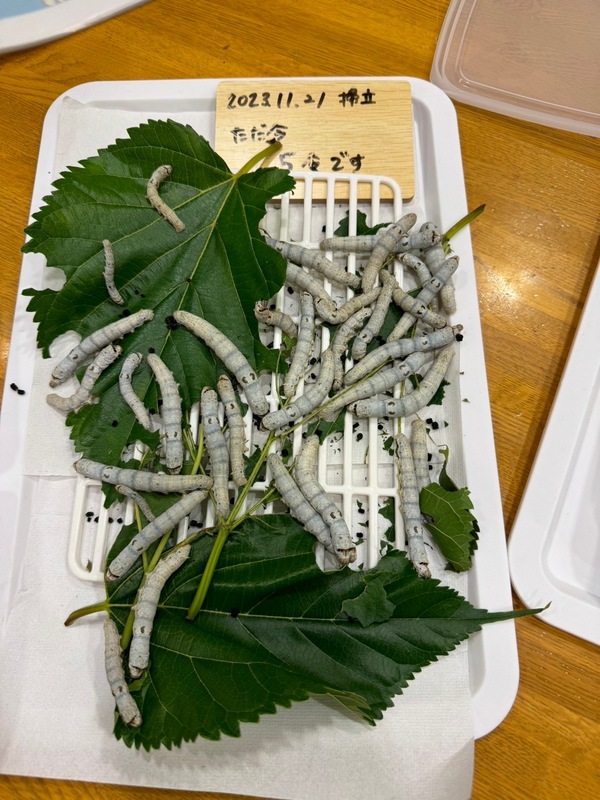 ファイル 340-5.jpeg