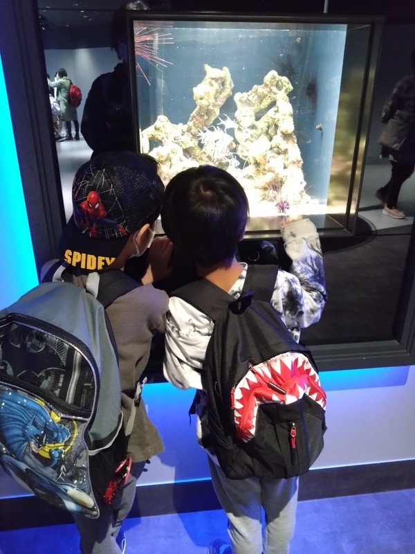 ファイル 349-1.jpeg