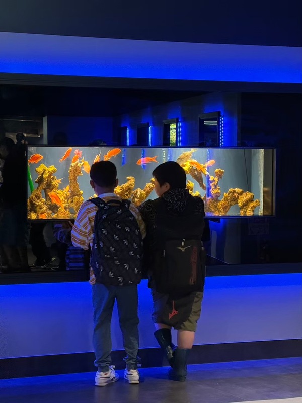 ファイル 349-2.jpeg