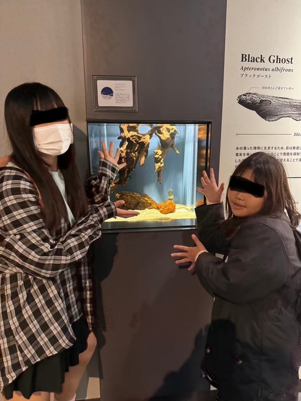 ファイル 349-3.jpeg