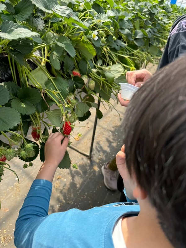 ファイル 357-3.jpeg