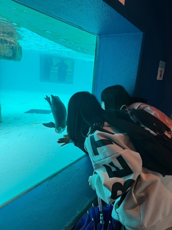 ファイル 358-1.jpeg