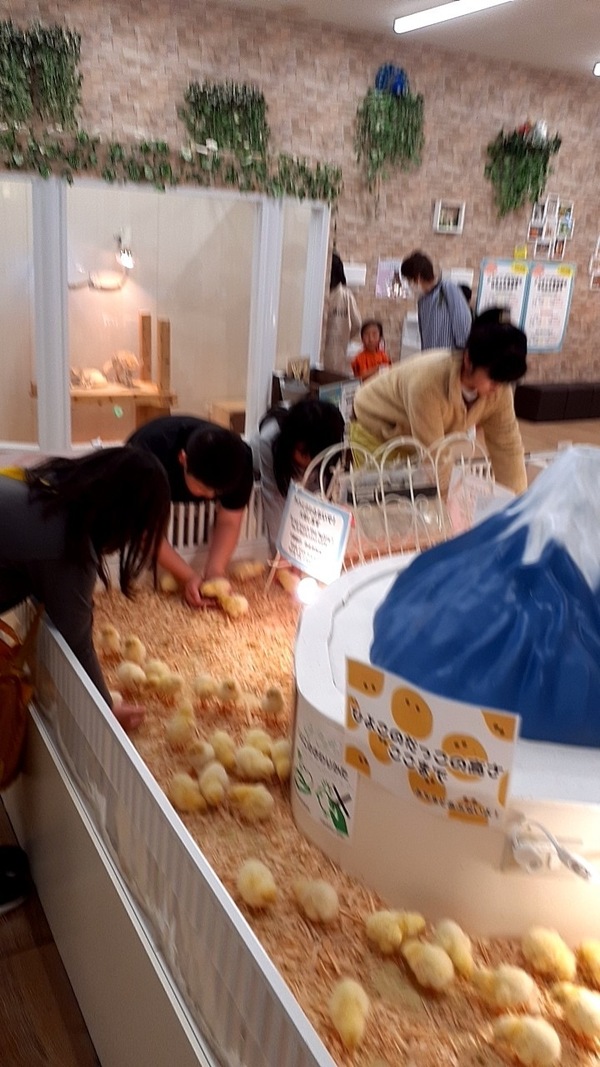 ファイル 360-1.jpeg