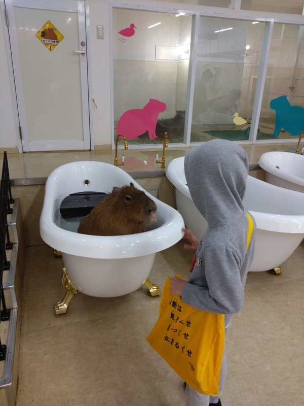 ファイル 360-3.jpeg