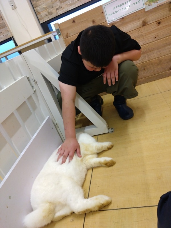 ファイル 360-4.jpeg