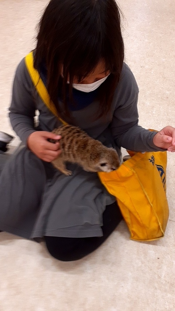 ファイル 360-5.jpeg