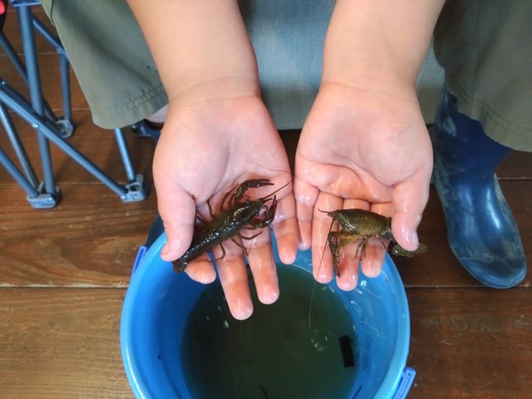 ファイル 364-4.jpeg