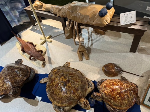 ファイル 369-1.jpeg