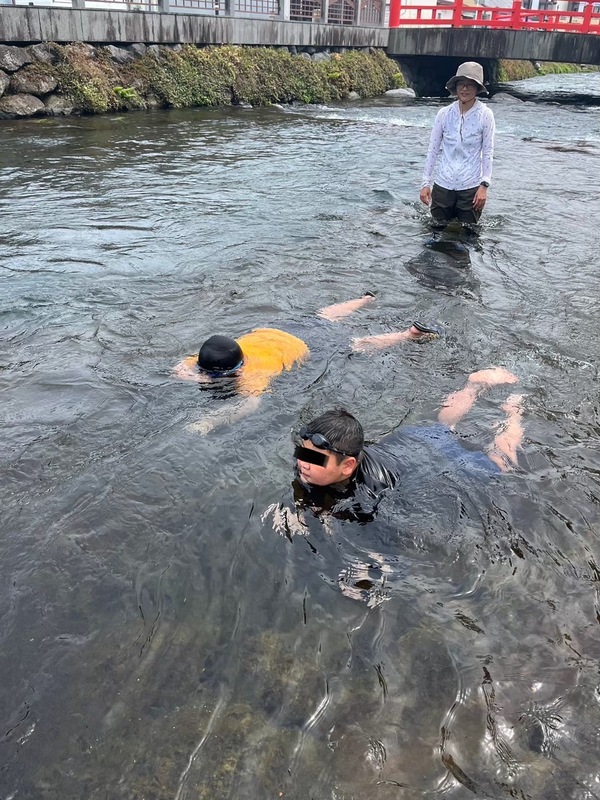 ファイル 386-1.jpeg