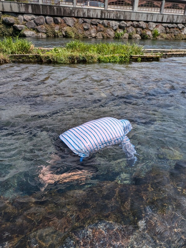 ファイル 386-3.jpeg