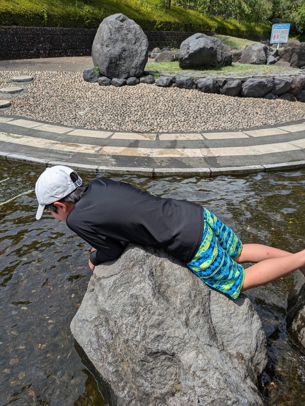 ファイル 386-5.jpeg