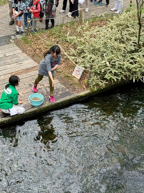 ファイル 388-3.jpeg