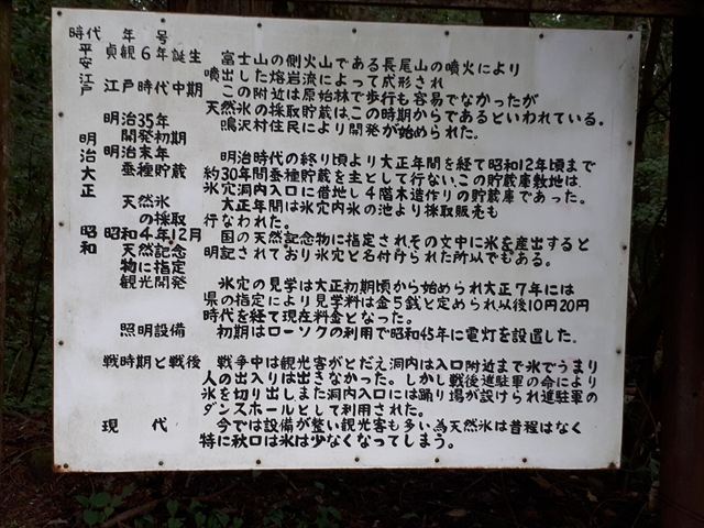 169-2.jpg