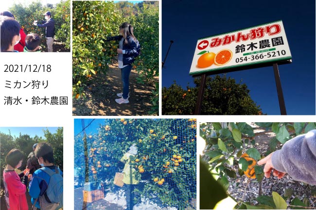 192-1.jpg